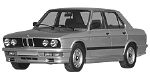 BMW E28 B284D Fault Code