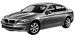 BMW F10 B284D Fault Code